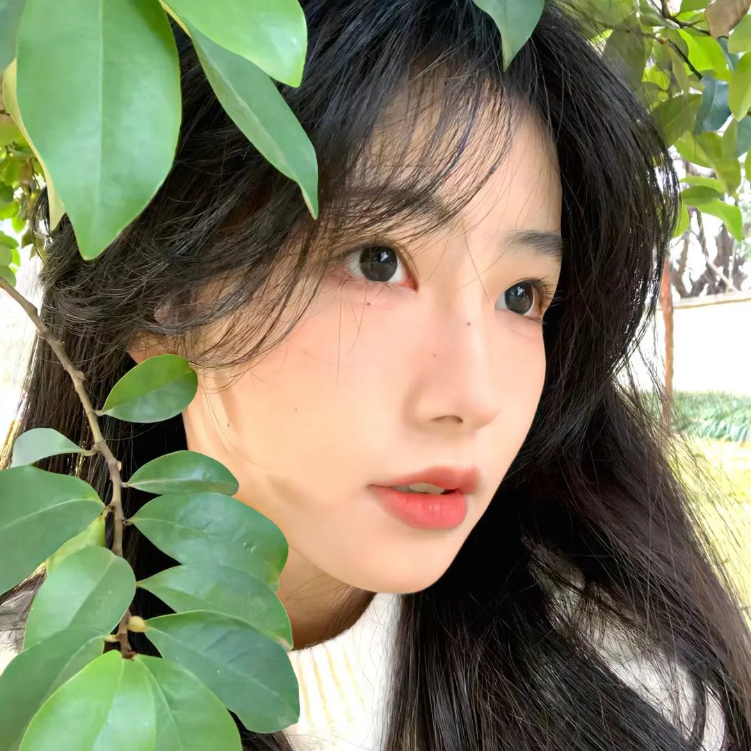 野兔子普查